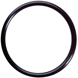 Aria O-ring Snorkel